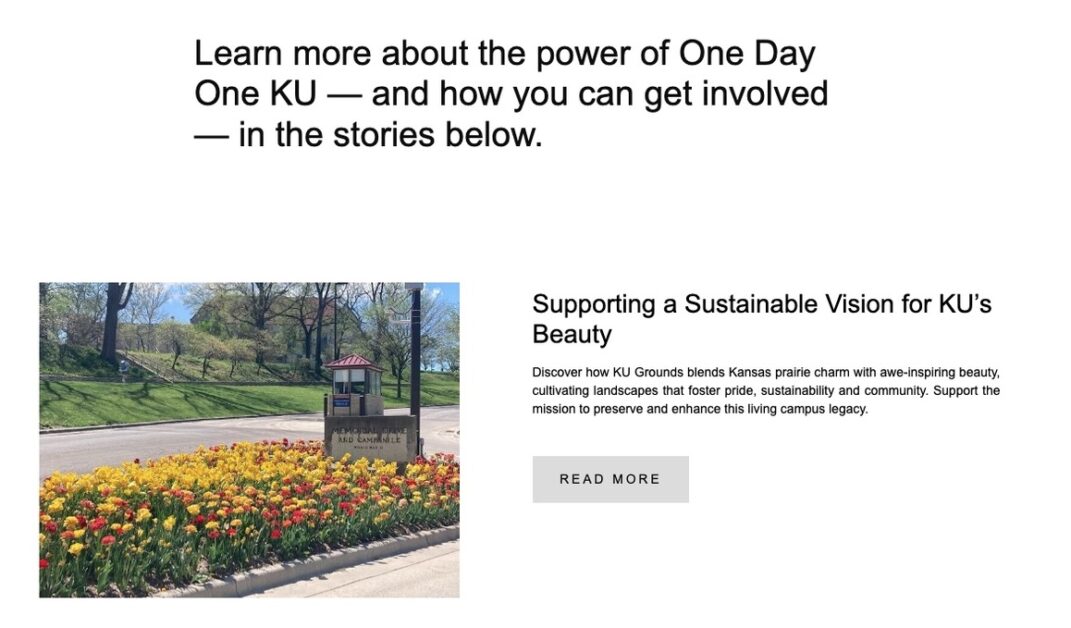 Impact giving campaign